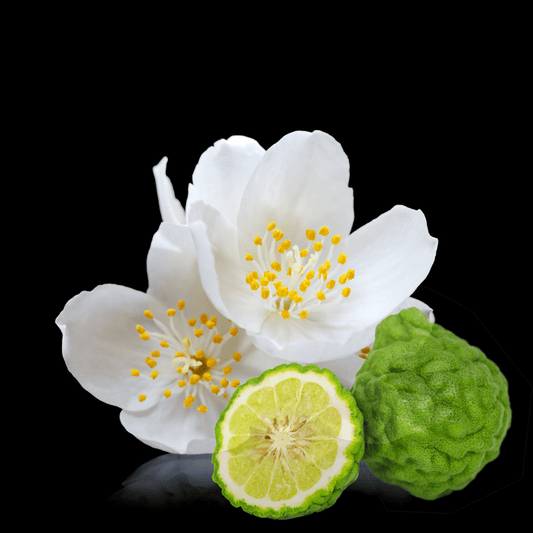 Body Perfume - Bergamot+Black Jasmine - Moniluxx