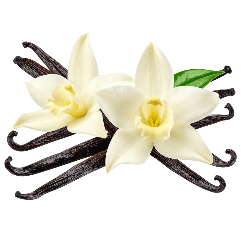 Body Perfume - Rich Buttercream - Moniluxx