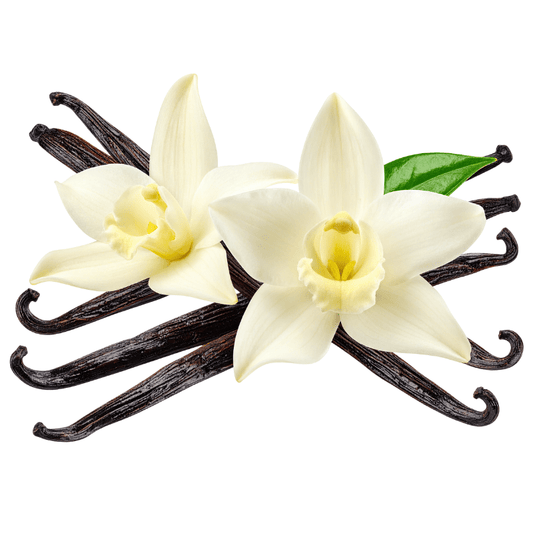 Body Perfume - Rich Buttercream - Moniluxx